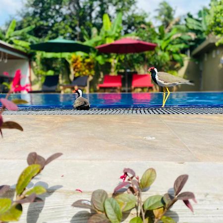 The Kingslayer Resort เนกอมโบ ภายนอก รูปภาพ